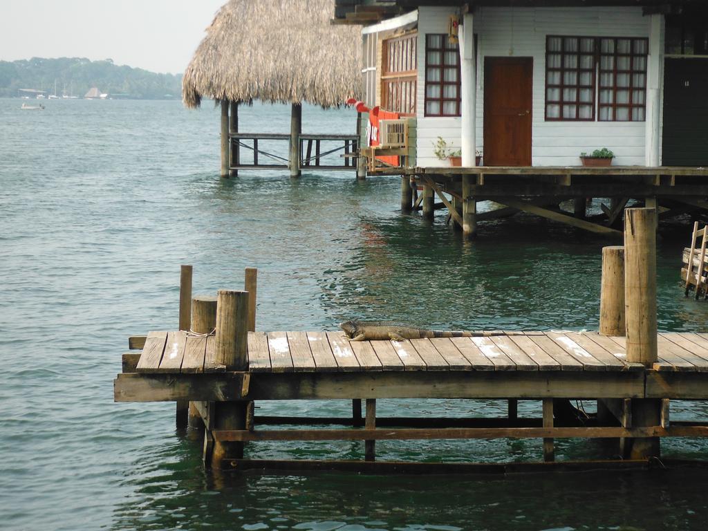 Hotel Y Restaurante Backpackers 里约杜尔塞 外观 照片